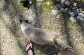 Enlarge photo 30