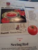 Enlarge photo 30