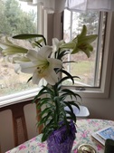 Enlarge photo 4