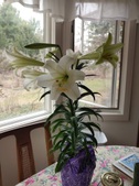 Enlarge photo 5