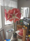 Enlarge photo 2