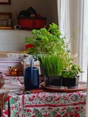 Enlarge photo 13