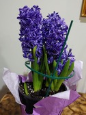 Enlarge photo 14