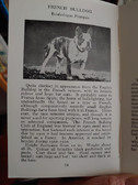 Enlarge photo 30