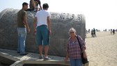 Enlarge photo 20