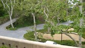 Enlarge photo 12