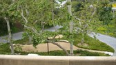Enlarge photo 13
