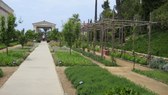 Enlarge photo 14
