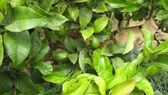 Enlarge photo 22