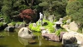 Enlarge photo 5