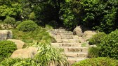 Enlarge photo 7