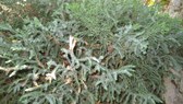 Enlarge photo 16