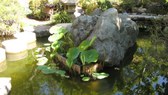 Enlarge photo 21