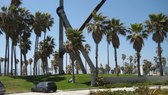 Enlarge photo 17