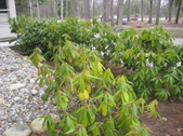 Enlarge photo 26