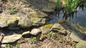 Enlarge photo 3