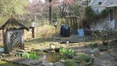 Enlarge photo 13