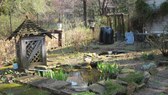 Enlarge photo 14