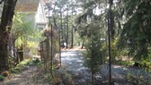 Enlarge photo 15