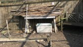 Enlarge photo 17
