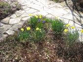 Enlarge photo 2