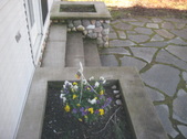 Enlarge photo 6