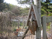 Enlarge photo 9