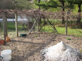 Enlarge photo 10