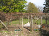 Enlarge photo 17