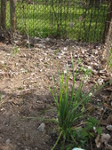 Enlarge photo 18