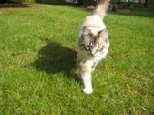 Enlarge photo 24