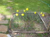 Enlarge photo 29