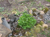 Enlarge photo 30