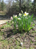 Enlarge photo 6