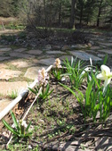 Enlarge photo 8