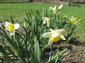Enlarge photo 10