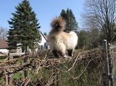 Enlarge photo 23