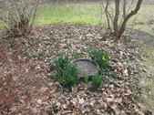 Enlarge photo 8