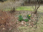 Enlarge photo 19