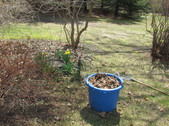Enlarge photo 26