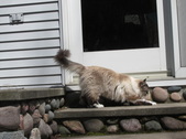Enlarge photo 29