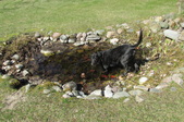 Enlarge photo 18