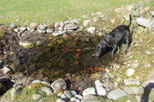 Enlarge photo 19