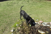 Enlarge photo 20