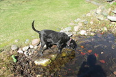 Enlarge photo 22
