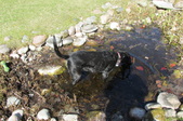 Enlarge photo 24