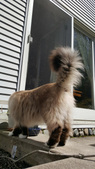 Enlarge photo 14