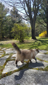 Enlarge photo 18
