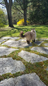 Enlarge photo 19
