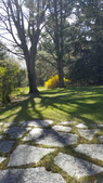 Enlarge photo 27